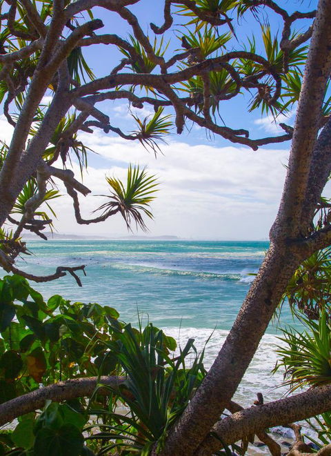 Rainbow Bay Backpackers - Accommodation Gladstone 26