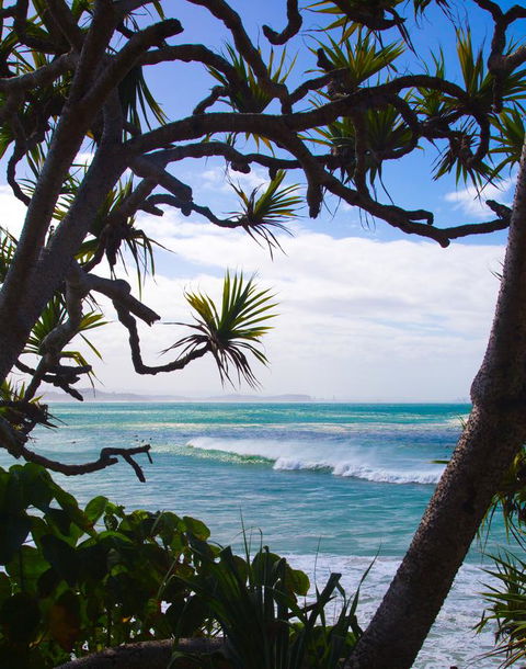 Rainbow Bay Backpackers - Accommodation Gladstone 25