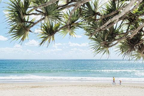 Netanya Noosa Beachfront Resort - Accommodation Gladstone 38