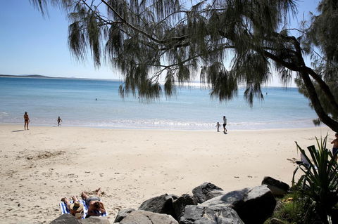 The Cove Noosa - Accommodation Gladstone 26