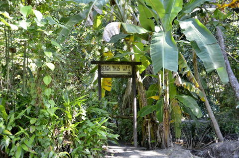 PK\'s Jungle Village - Accommodation Gladstone 23