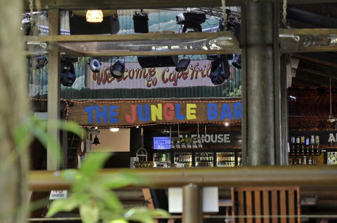 PK\'s Jungle Village - Accommodation Gladstone 20