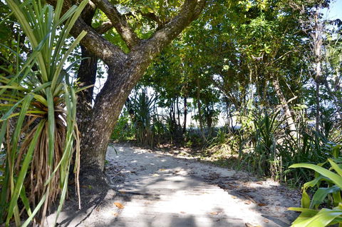 PK\'s Jungle Village - Accommodation Gladstone 28