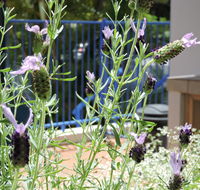 Surfers Beach Resort One