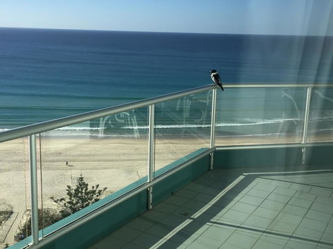 Ocean Plaza Resort - Accommodation Gladstone 28