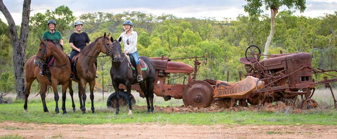 Ironbark House - Accommodation Gladstone 8