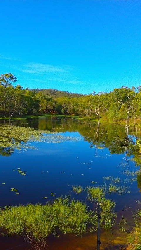 Ironbark House - Accommodation Gladstone 21