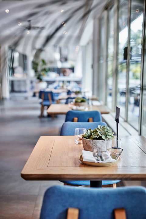 Novotel Cairns Oasis Resort - Accommodation Gladstone 19
