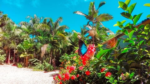 Boutique Bungalows - Accommodation Gladstone 14