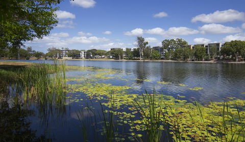 Jacana Apartments - Accommodation Gladstone 15