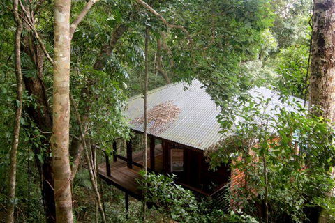 Cairns Rainforest Retreat - Accommodation Gladstone 0