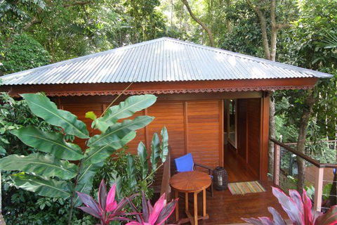 Cairns Rainforest Retreat - Accommodation Gladstone 5