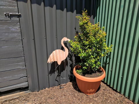 Lilly Pilly House - Accommodation Gladstone 10