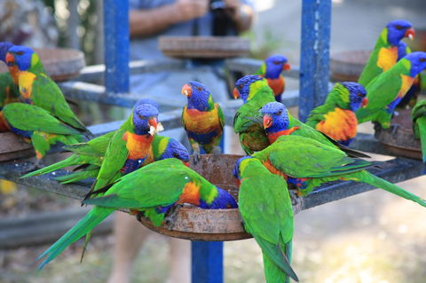Tasman Holiday Parks - Airlie Beach - Accommodation Gladstone 23