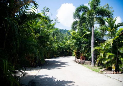 NRMA Airlie Beach Holiday Park - Accommodation Gladstone 17