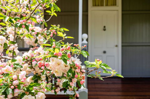 Apple Blossom Cottages - Accommodation Gladstone 2