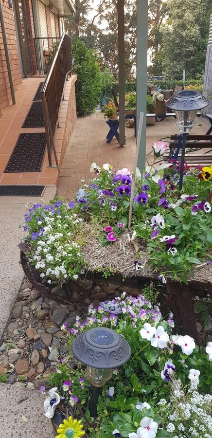 Manitzky Magic -B&B Home With Heart - Accommodation Gladstone 8