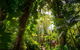 Cairns Colonial Club Resort - thumb 22