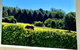 Hampton Estate Wines - thumb 11