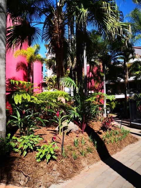 Enderley Gardens Resort - Accommodation Gladstone 12