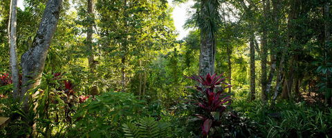 Sharlynn By The River - Accommodation Gladstone 5
