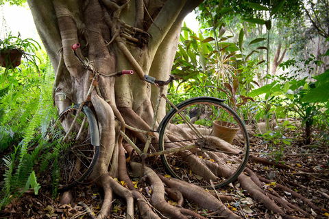 Sharlynn By The River - Accommodation Gladstone 27