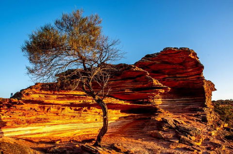 Waterside House Kalbarri - Accommodation Gladstone 2