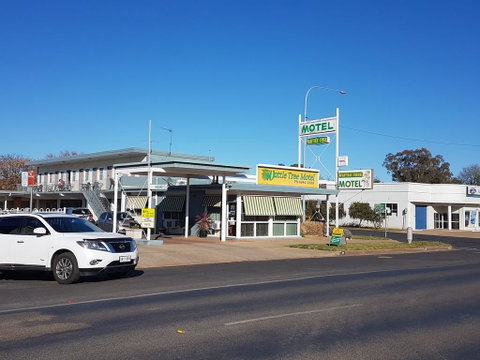 Wattle Tree Motel - Accommodation Gladstone 0