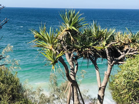 Waves And White Horses Seaview Retreat (adults Only) - Accommodation Gladstone 0