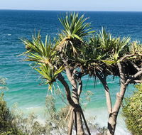 Waves and White Horses Seaview Retreat adults only - Accommodation Gladstone