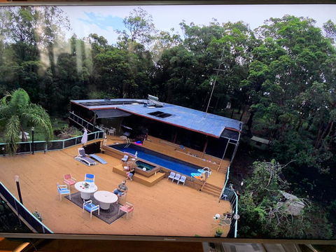 Where The Forest Meets The Sea On The Gold Coast - Accommodation Gladstone 0