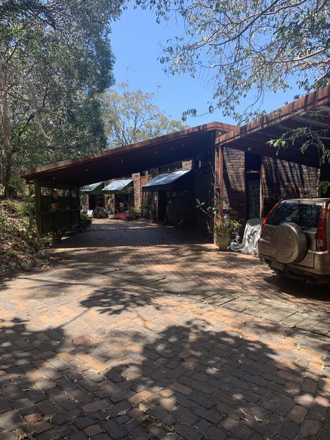 Where The Forest Meets The Sea On The Gold Coast - Accommodation Gladstone 2