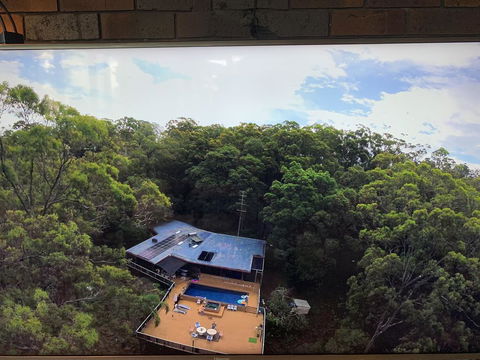 Where The Forest Meets The Sea On The Gold Coast - Accommodation Gladstone 1