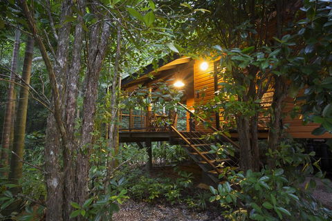 Wildwood - Accommodation Gladstone 0