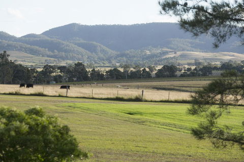 Windarra Lodge - Accommodation Gladstone 3