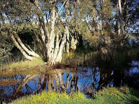 Wisteria Cottage On The Lagoon/Beach - Accommodation Gladstone 2