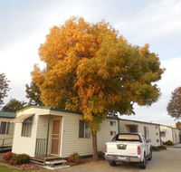 Wodonga Caravan  Cabin Park - Accommodation Gladstone