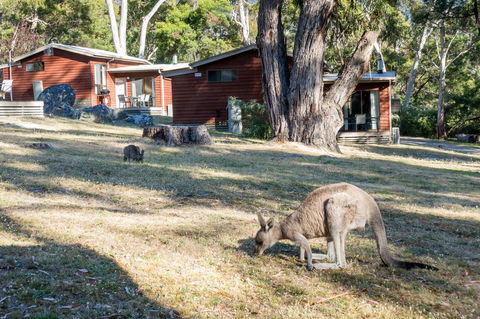 Wonderland Cottages - Accommodation Gladstone 1
