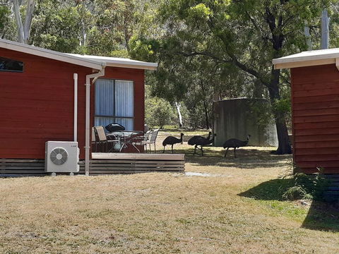Wonderland Cottages - Accommodation Gladstone 3