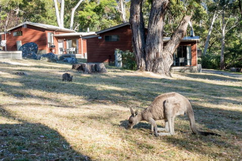 Wonderland Cottages - Accommodation Gladstone 1