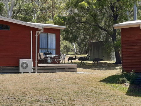 Wonderland Cottages - Accommodation Gladstone 3