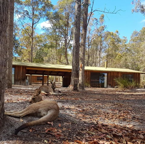 Woodbine Park Eco Cabins - Accommodation Gladstone 2
