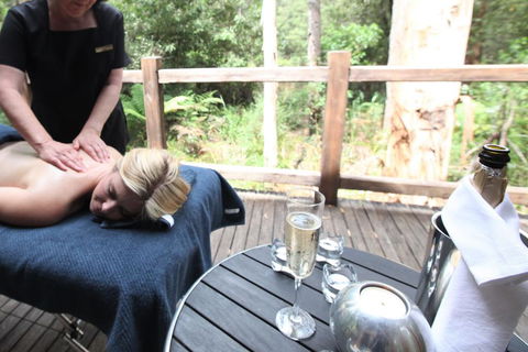 Woodlands Rainforest Retreat - Accommodation Gladstone 3