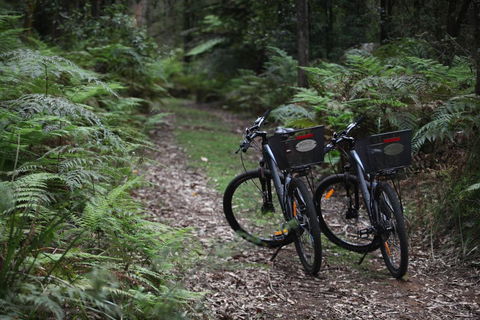Woodlands Rainforest Retreat - Accommodation Gladstone 2