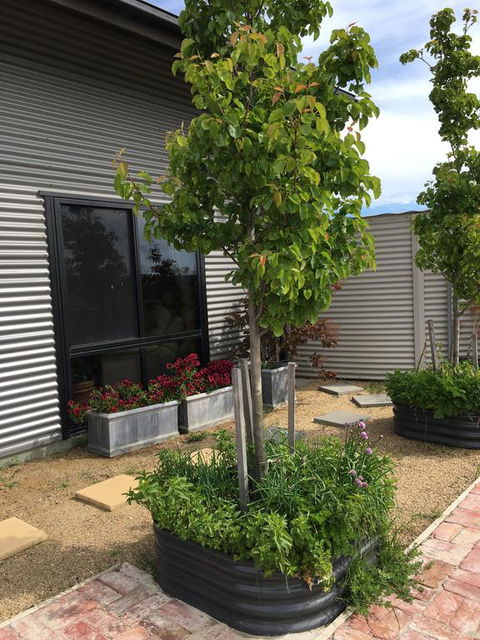 Woolamai Dreaming - Accommodation Gladstone 2