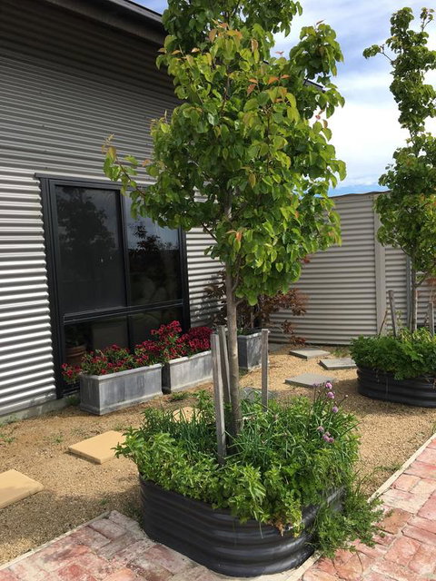 Woolamai Dreaming - Accommodation Gladstone 2