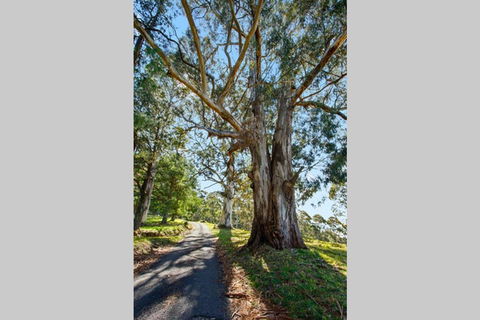 WOOLWAY - Accommodation Gladstone 1