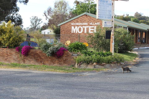 Woomargama Motel - Accommodation Gladstone 3