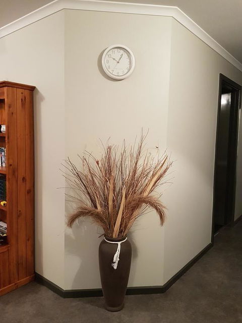 Wudinna Farm View - Accommodation Gladstone 3