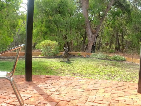 Yallingup Pet Friendly Bush Retreat - Accommodation Gladstone 3
